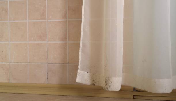 Best Water Damage & Mold Remediation  in St Augustine Shores, FL