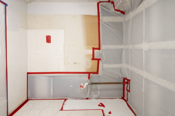 Mold Removal for HVAC Installations in St Augustine Shores, FL