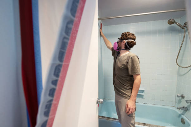 St Augustine Shores, FL Mold Removal Company