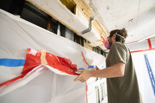 Best Mold Odor Removal Services  in St Augustine Shores, FL