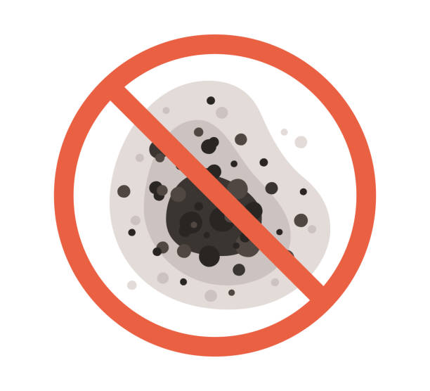 Best Mold-Related Health Consultation  in St Augustine Shores, FL