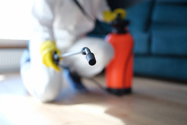 Best Asbestos and Lead Testing During Mold Inspection  in St Augustine Shores, FL
